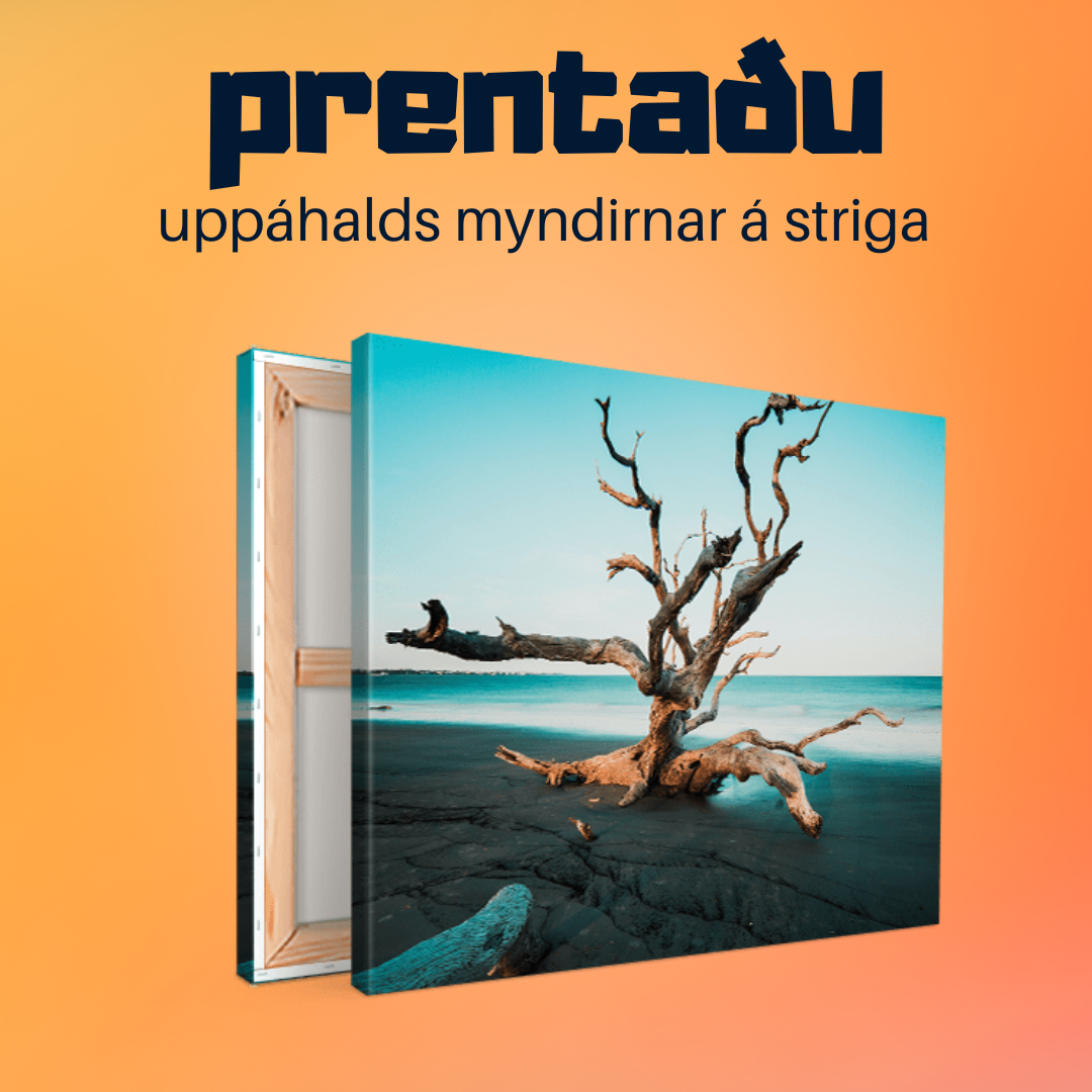 Strigamynd á blindramma