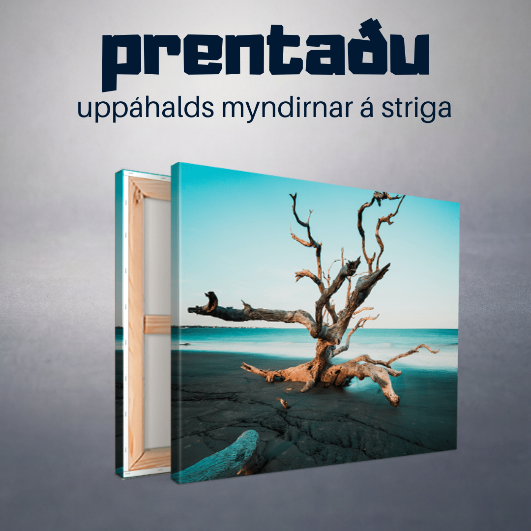 Strigamynd á blindramma