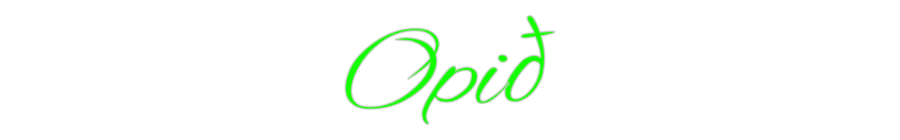 Custom Neon: Opið