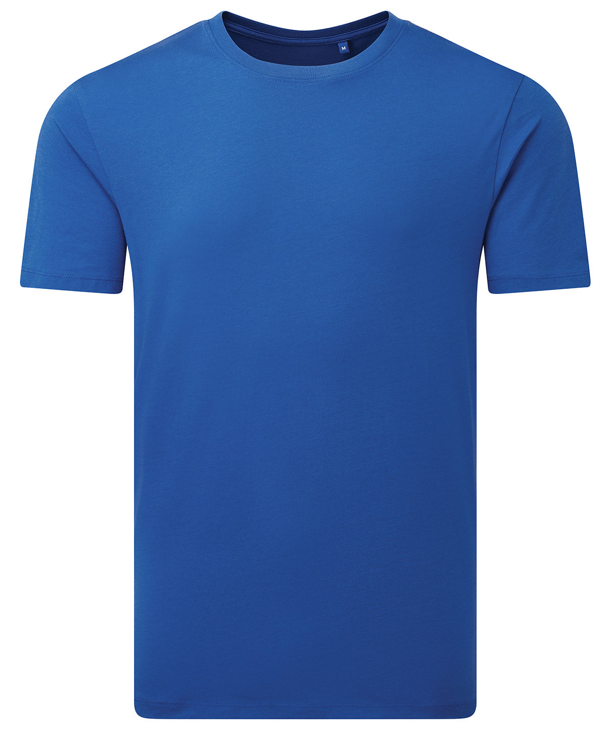 Stuttermabolur Anthem AM012 – Kóngablár – 3XL