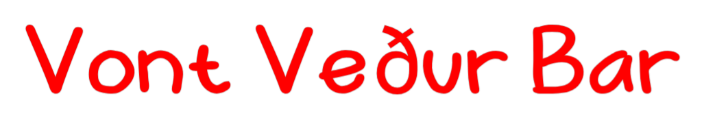 Custom Neon: Vont Veður Bar