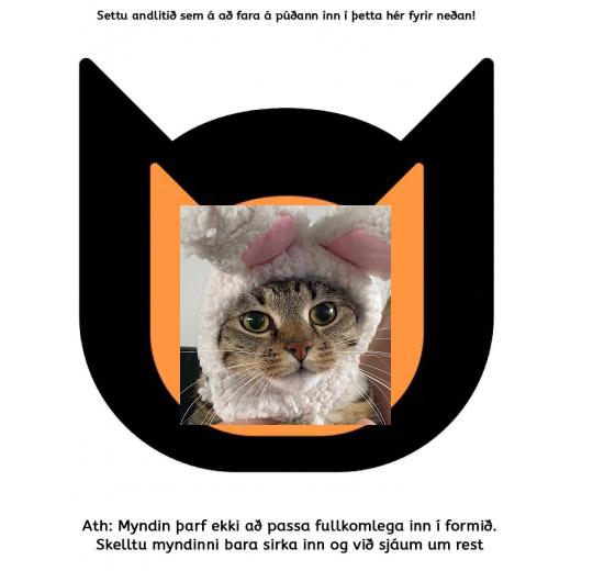 Gæludýra púða smetti