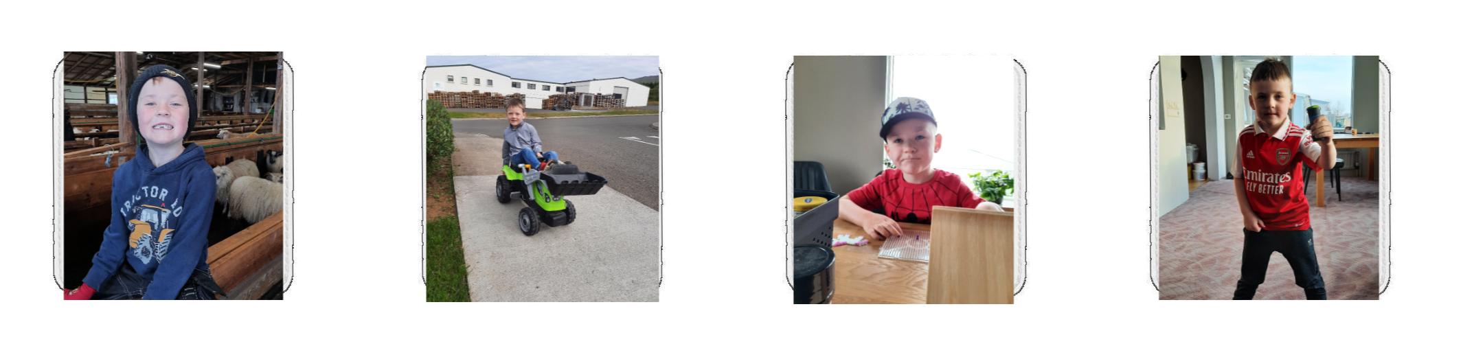 Glasamotta Kassi - 4stk