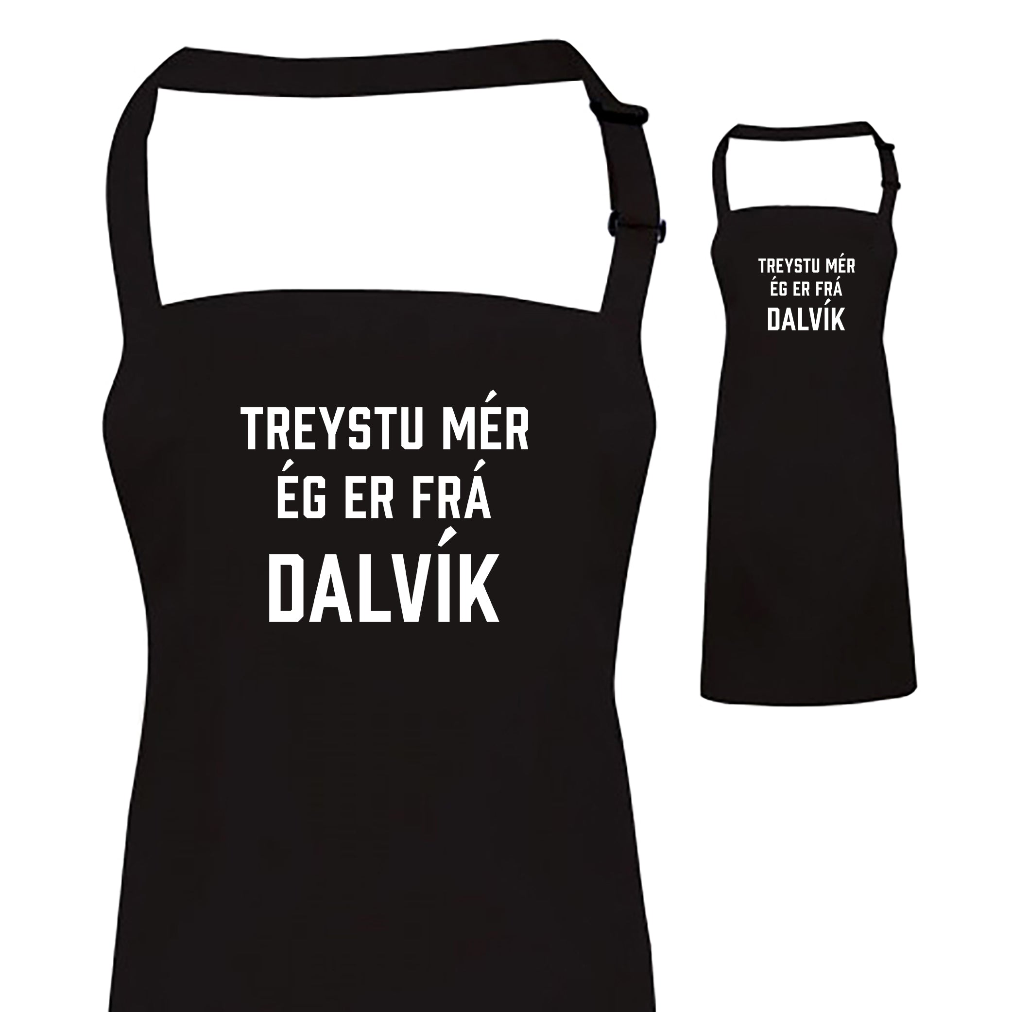 TREYSTU MÉR ÉG ER FRÁ DALVÍK - Svunta