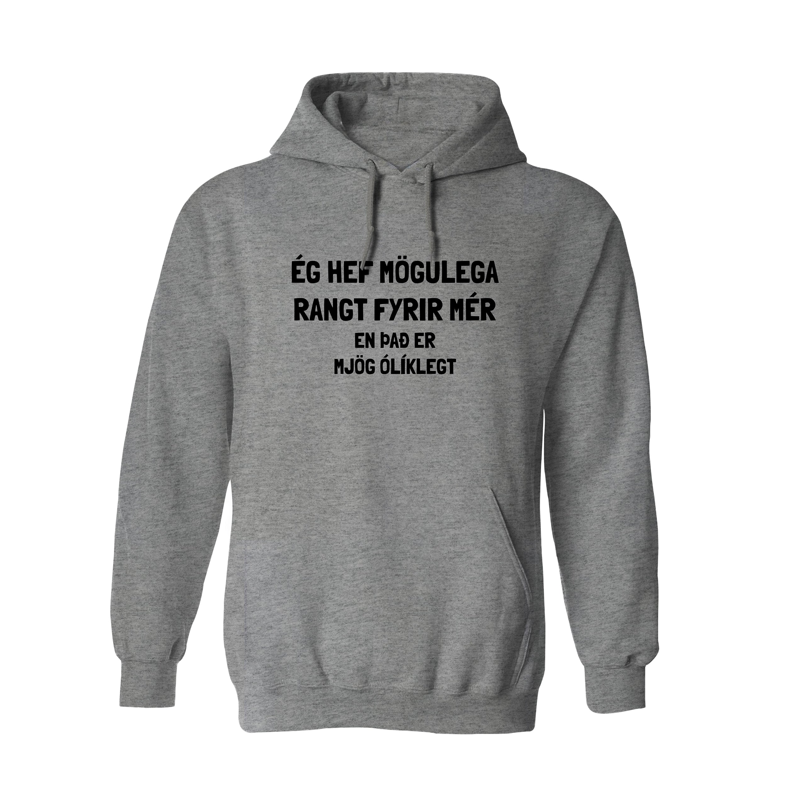 ÉG HEF MÖGULEGA RANGT FYRIR MÉR - Hettupeysa - Grá