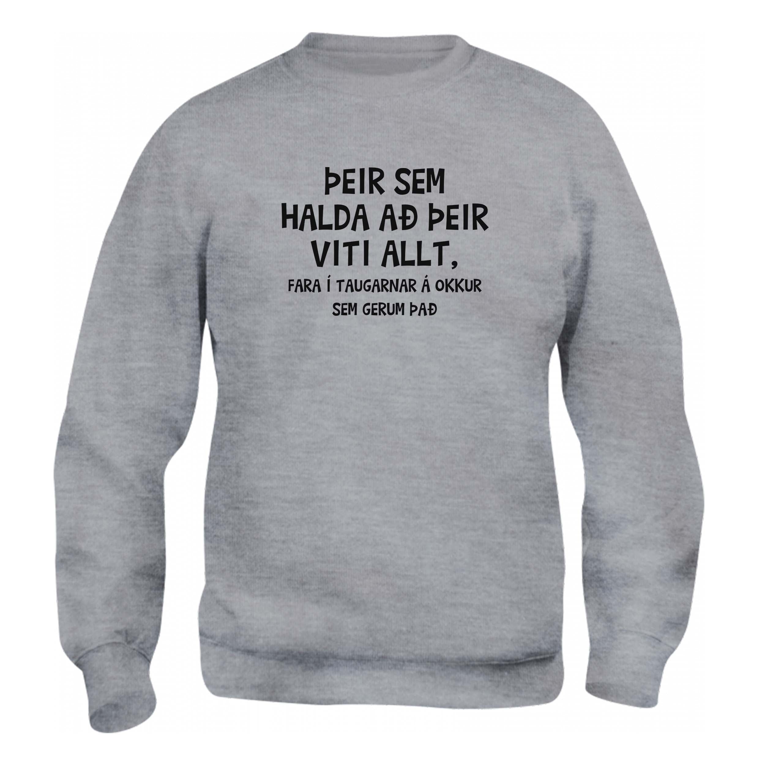 ÞEIR SEM HALDA AÐ ÞEIR VITI ALLT - Peysa - Grá