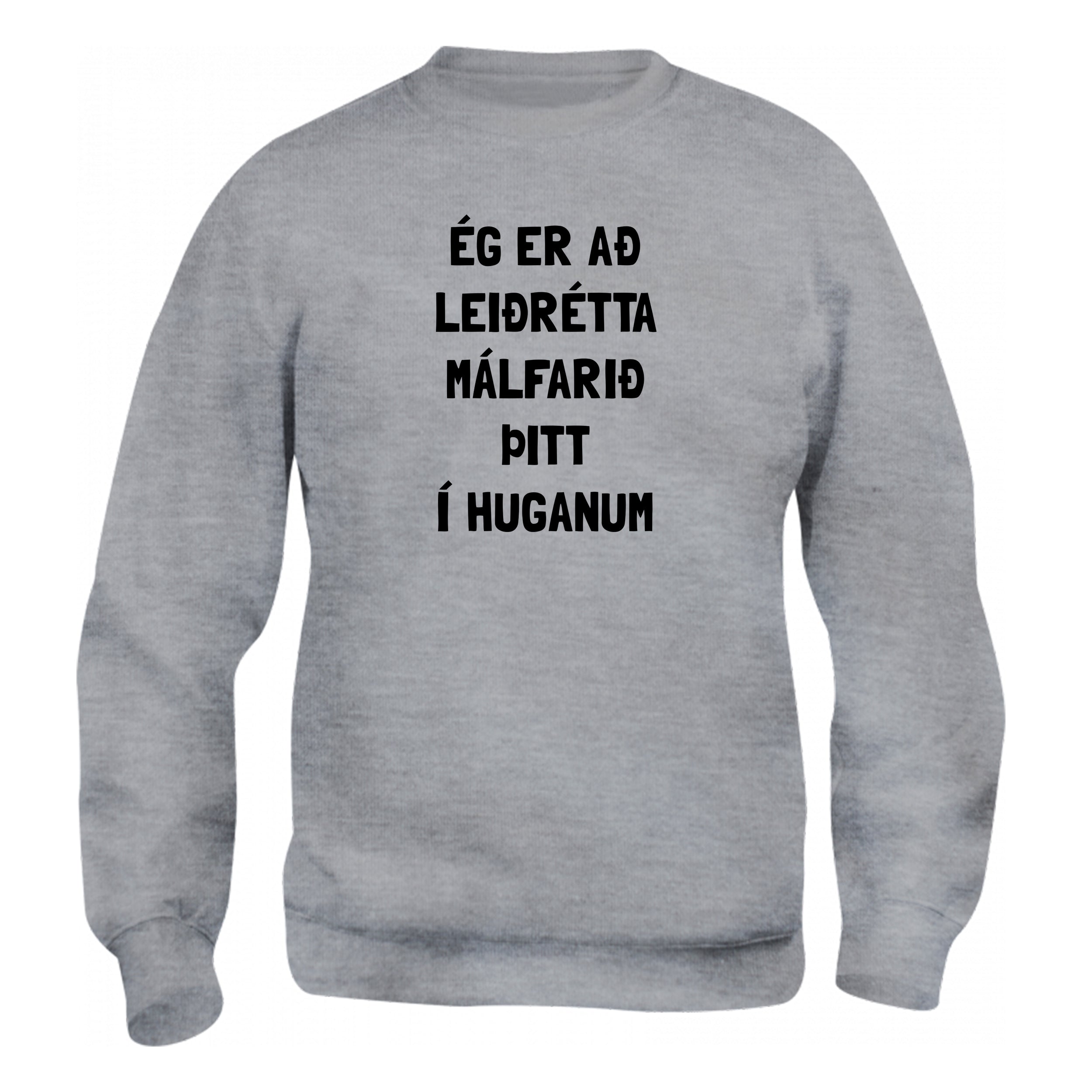 ÉG ER AÐ LEIÐRÉTTA - Peysa - Grá