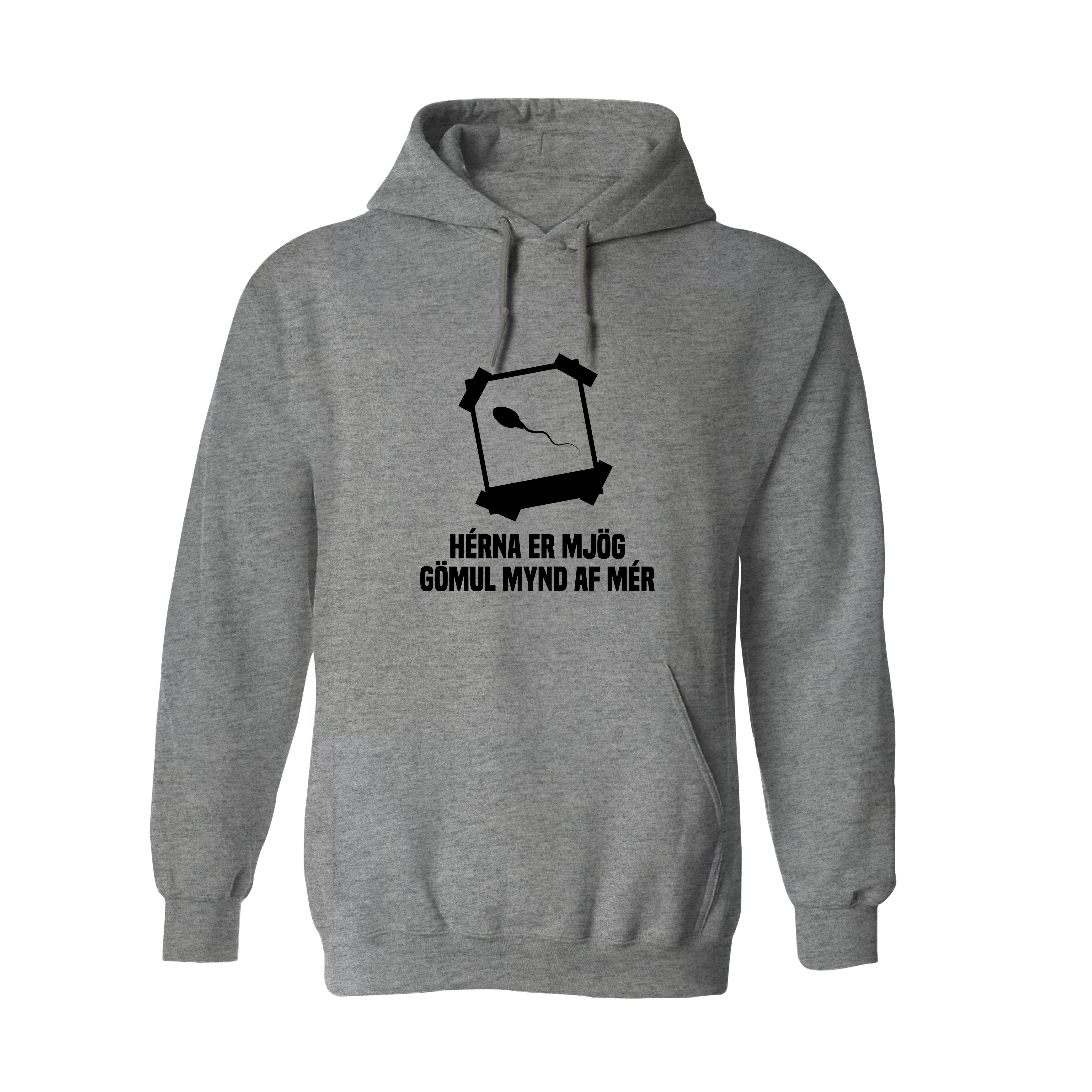 HÉRNA ER MJÖG GÖMUL MYND AF MÉR - Hettupeysa - Grá
