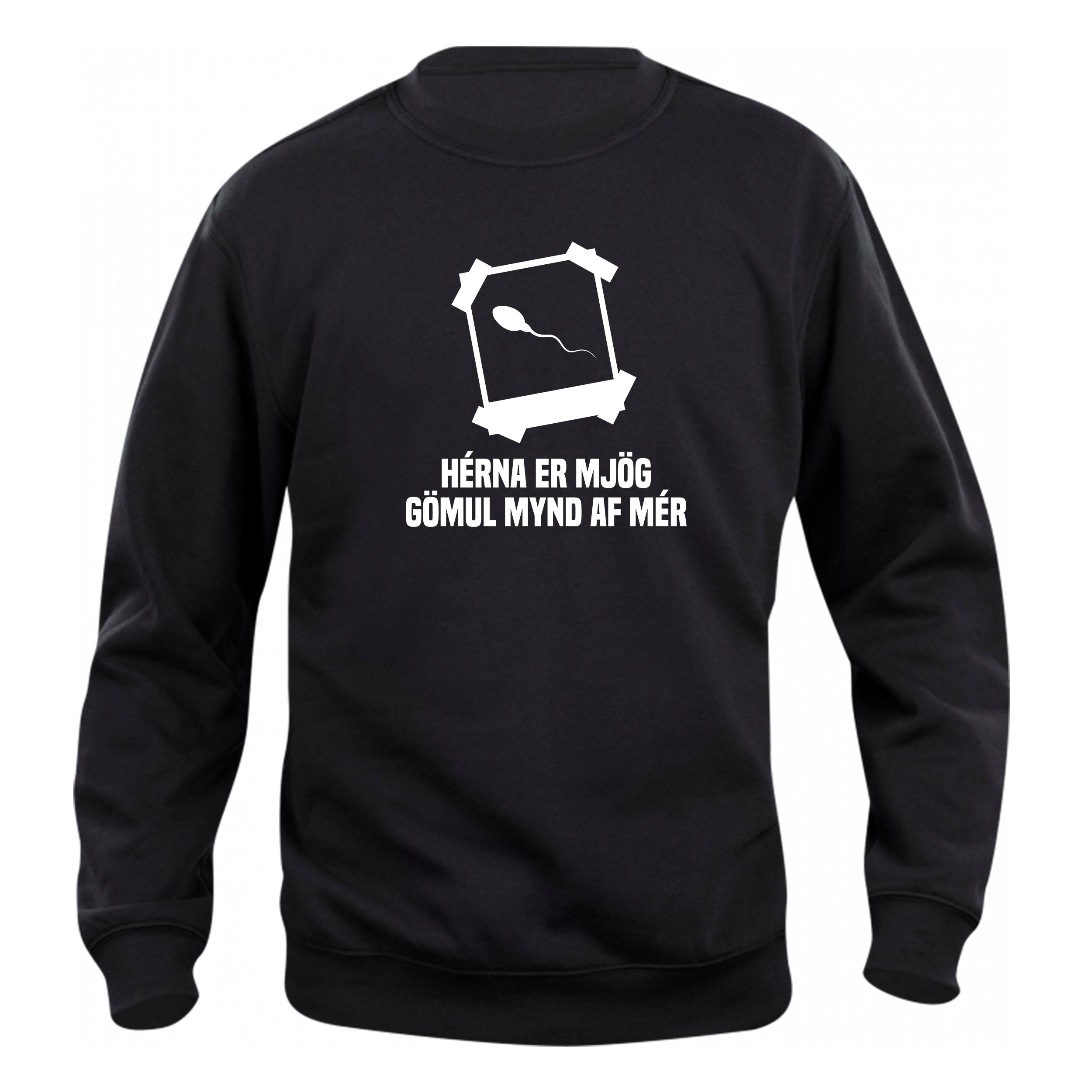HÉRNA ER MJÖG GÖMUL MYND AF MÉR - Peysa - Svört