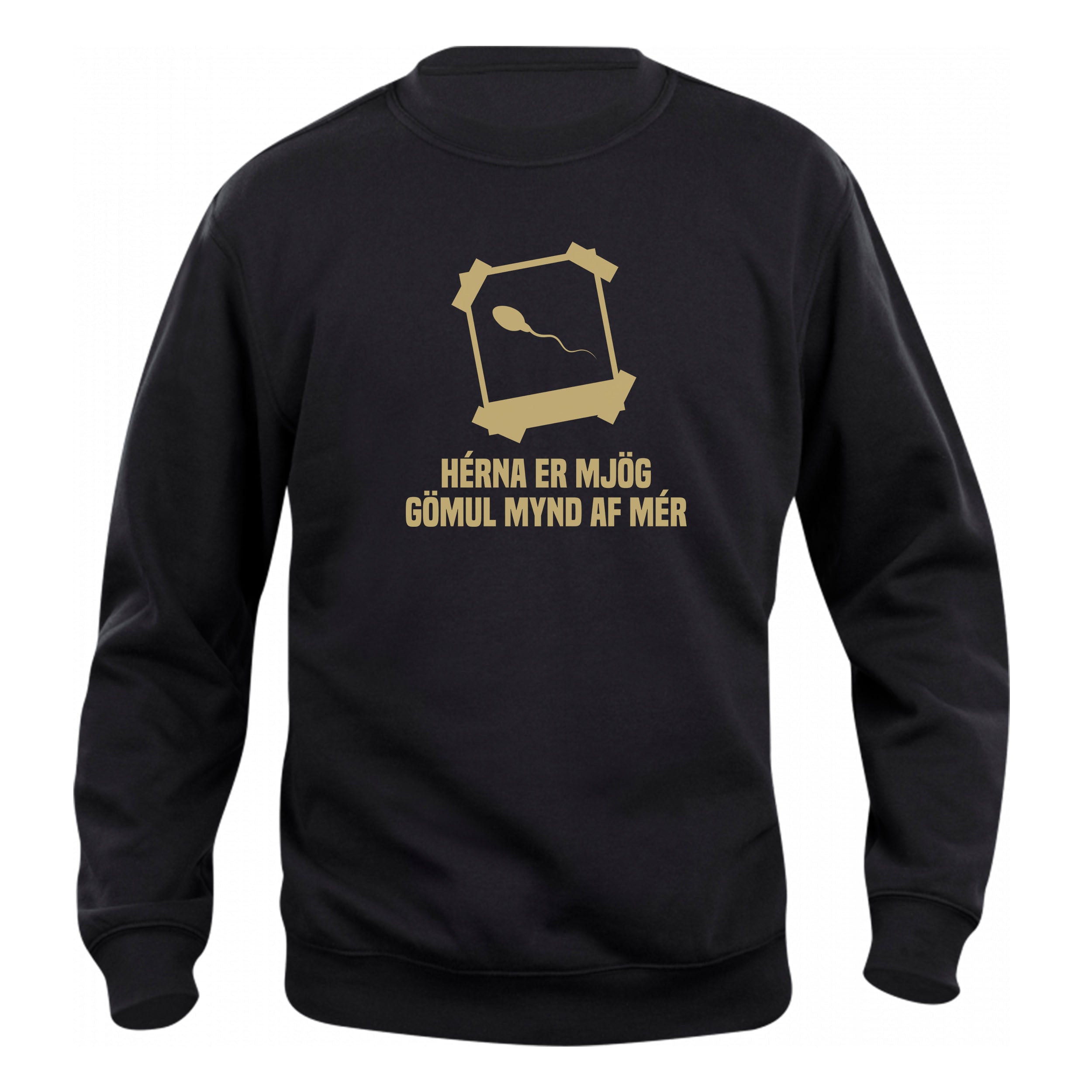 HÉRNA ER MJÖG GÖMUL MYND AF MÉR - Peysa - Svört