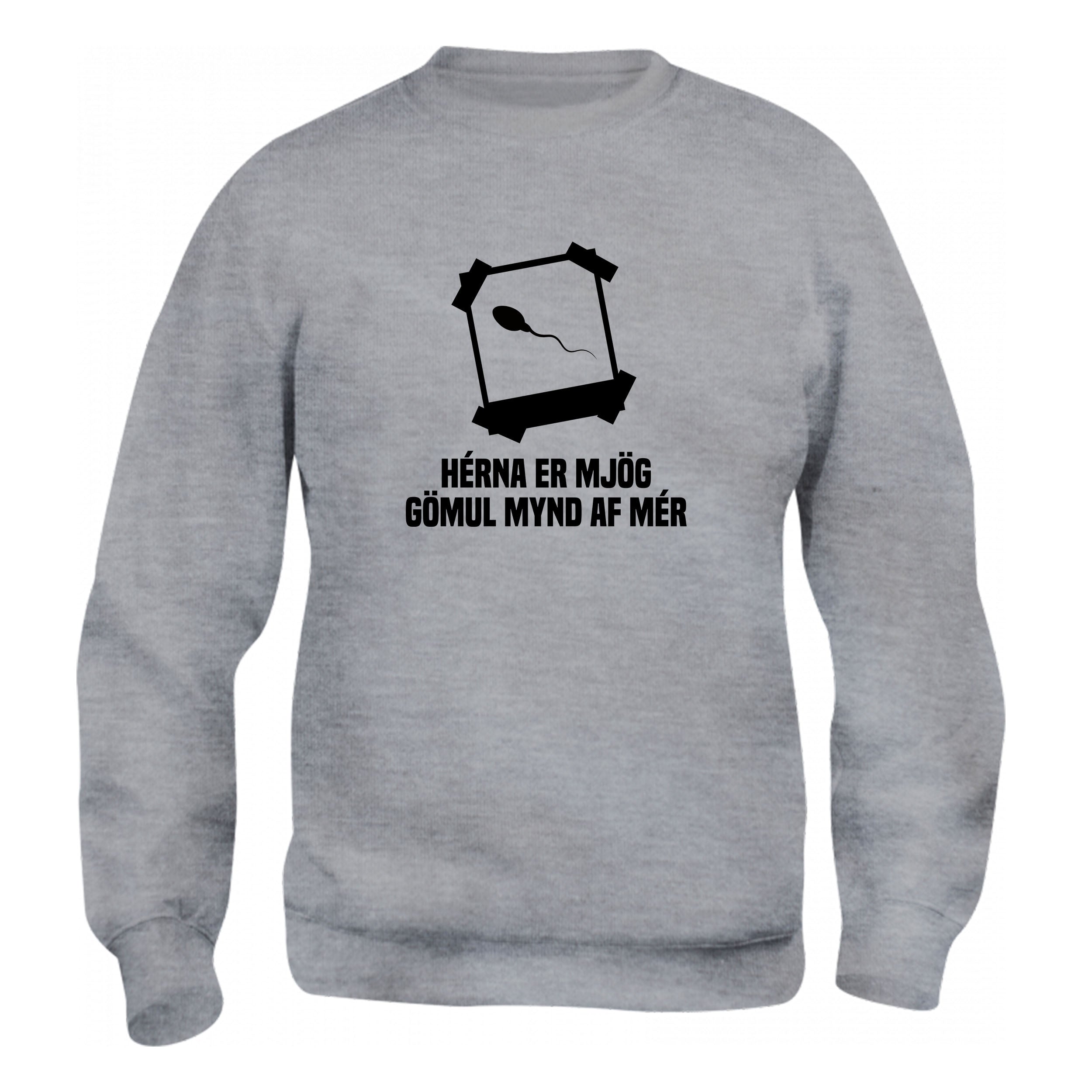 HÉRNA ER MJÖG GÖMUL MYND AF MÉR - Peysa - Grá