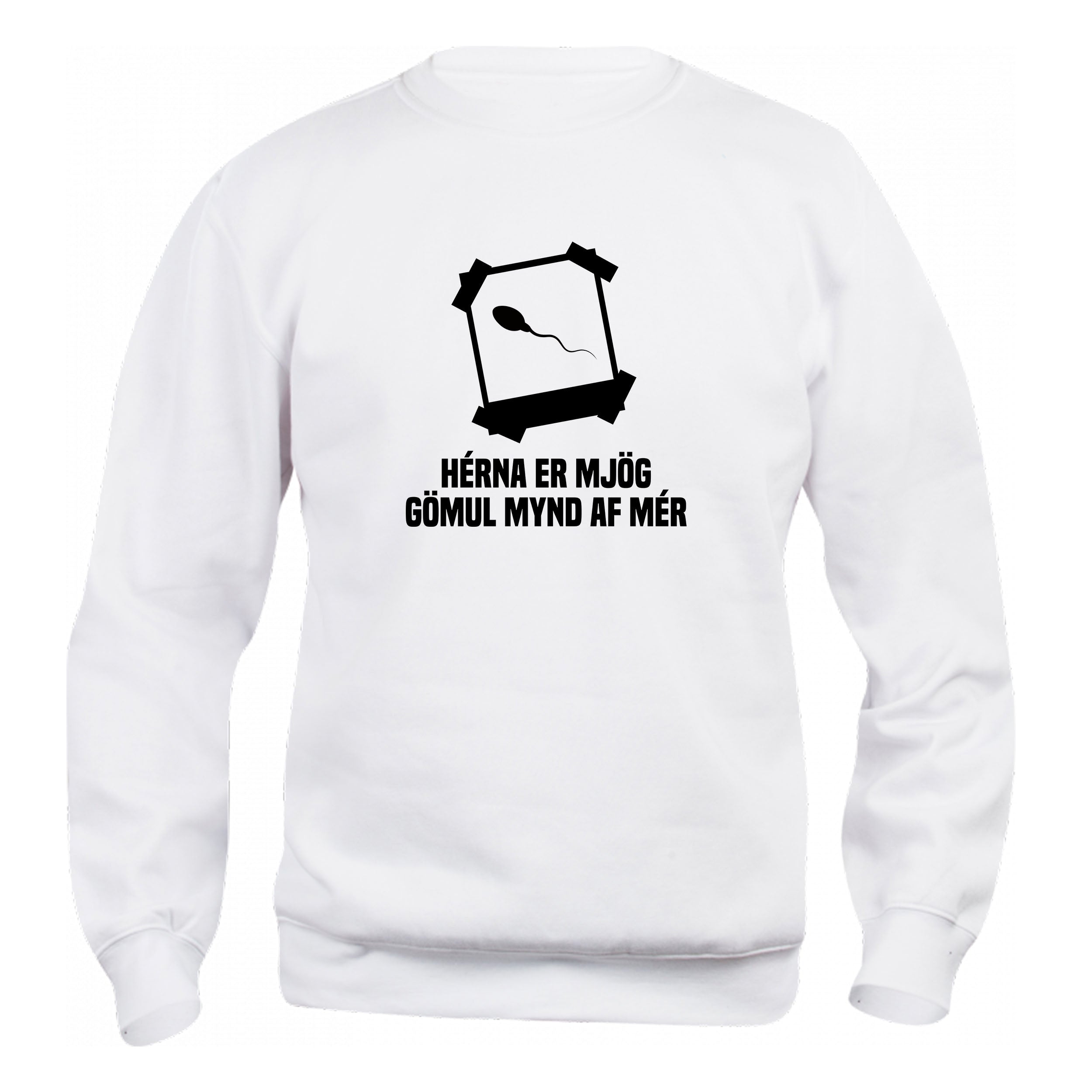 HÉRNA ER MJÖG GÖMUL MYND AF MÉR - Peysa - Hvít