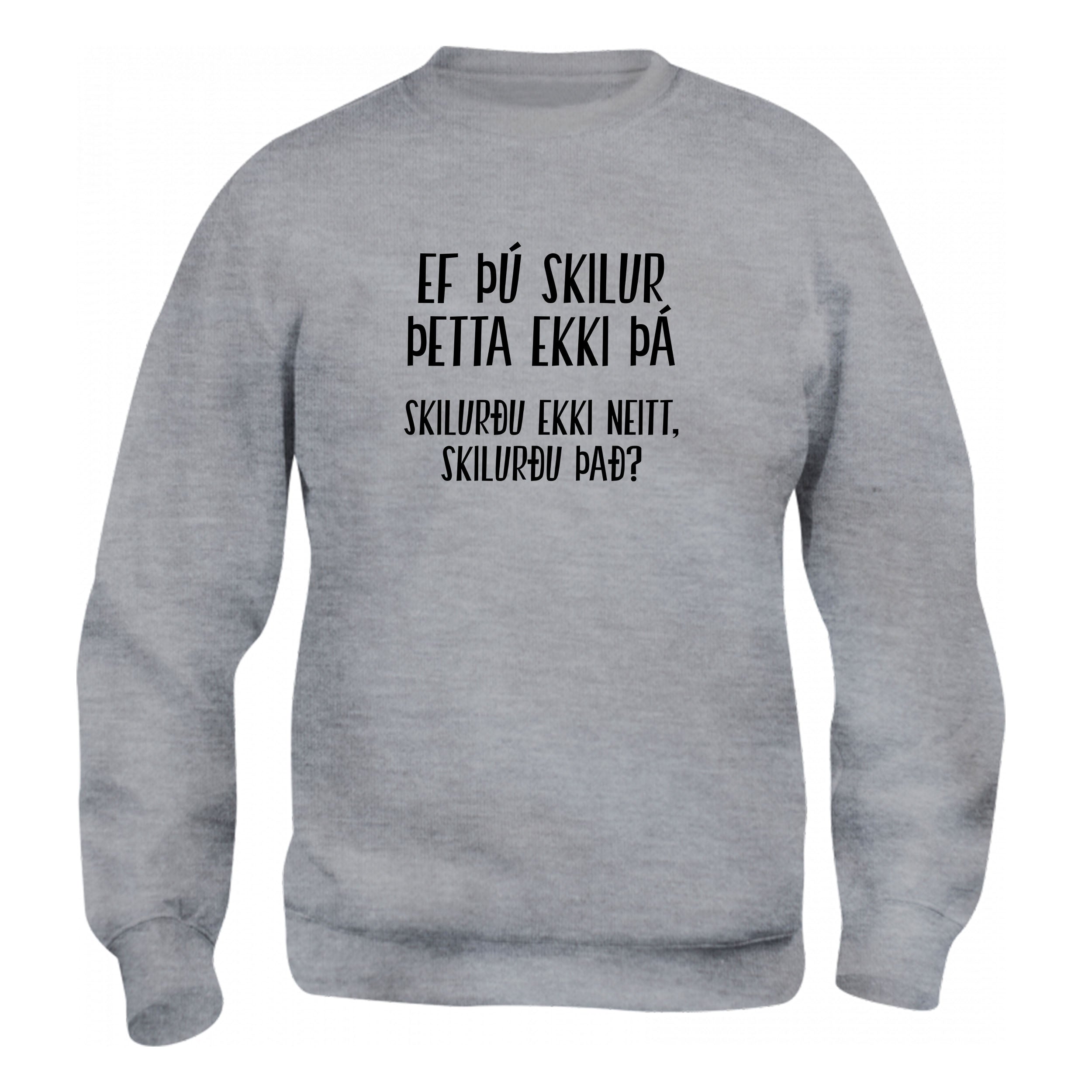 SKILUR ÞETTA EKKI - Peysa - Grá