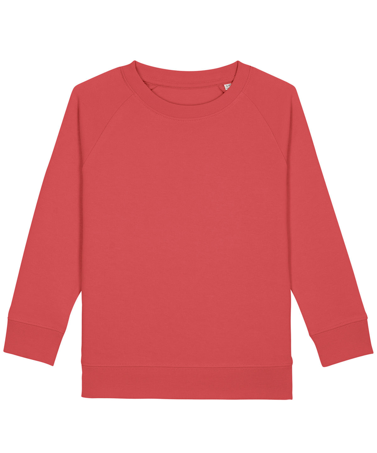 Háskólapeysur - Kids Mini Scouter Iconic Crew Neck Sweatshirt (STSK916)