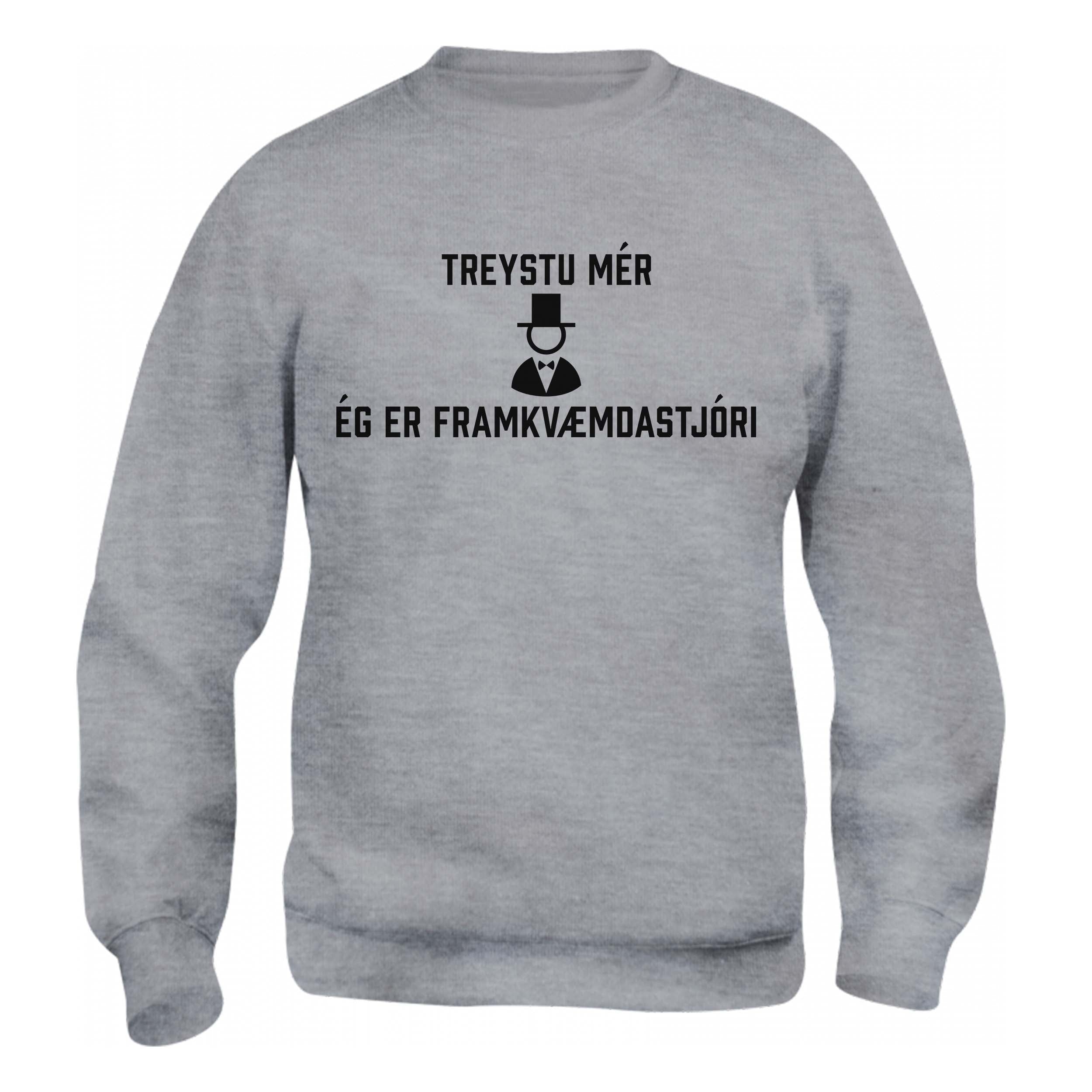 TREYSTU MÉR ÉG ER FRAMKVÆMDASTJÓRI_02 - Peysa - Grá