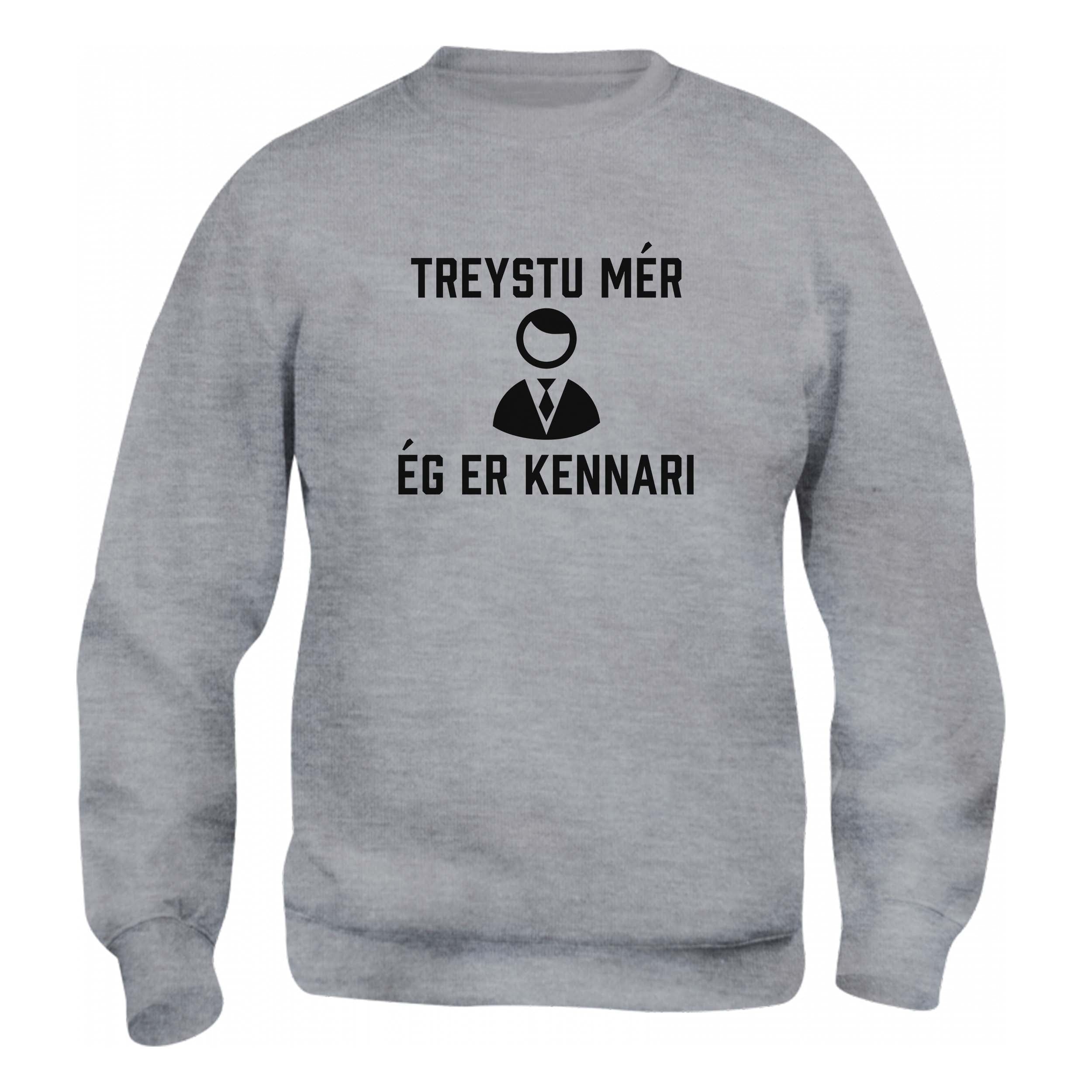 TREYSTU MÉR ÉG ER KENNARI_02 - Peysa - Grá