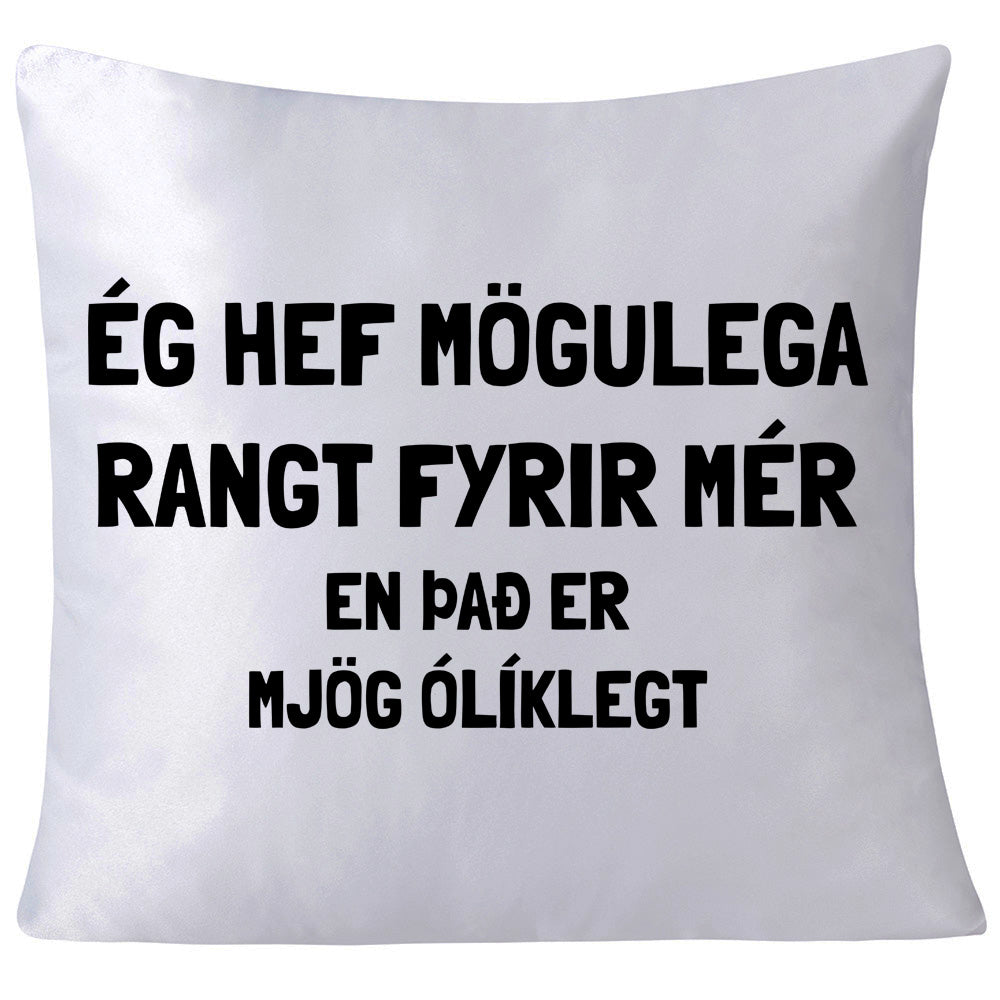 Ég hef mögulega rangt fyrir mér - Púði