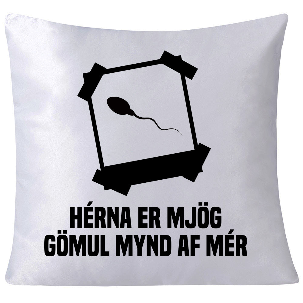 Hérna er mjög gömul mynd af mér - Púði