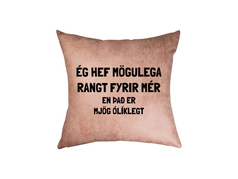 Ég hef mögulega - pleður púði