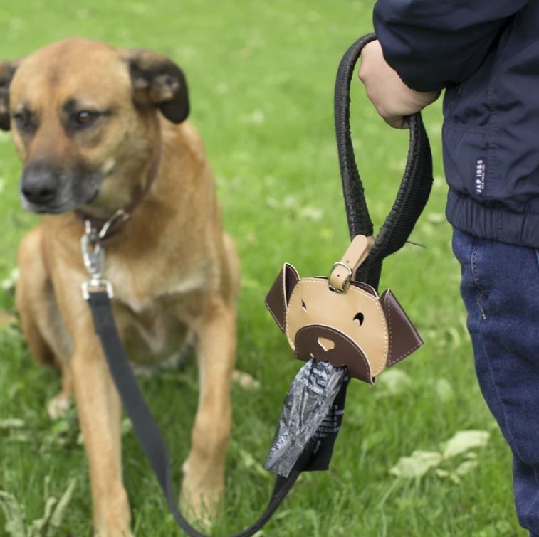 Hundapoka geymsla á hundaólina