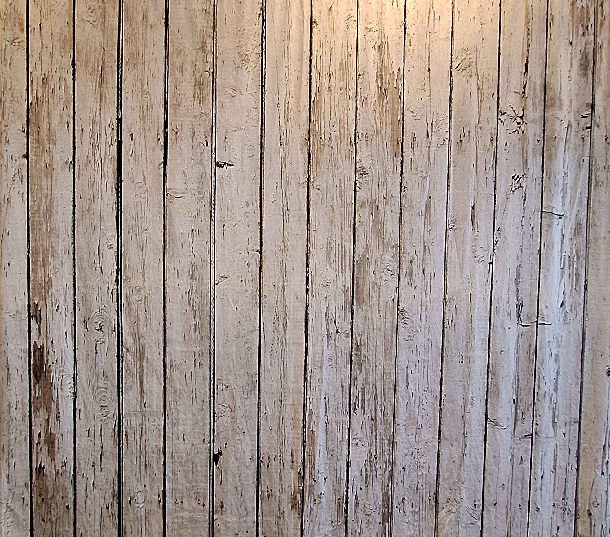 Bakgrunnar fyrir Myndapartý - Leiga