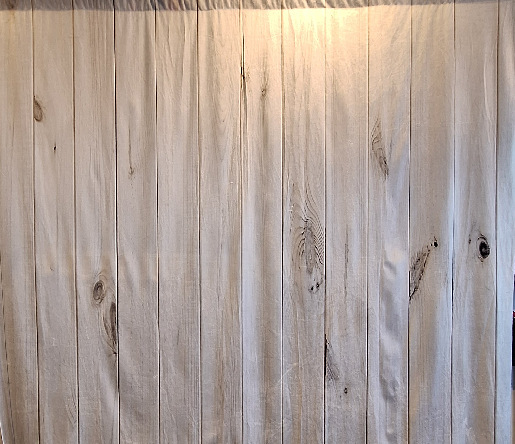 Bakgrunnar fyrir Myndapartý - Leiga