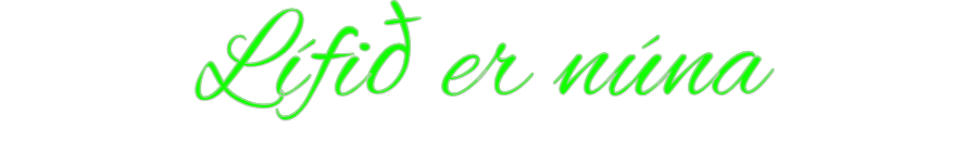 Custom Neon: Lífið er núna