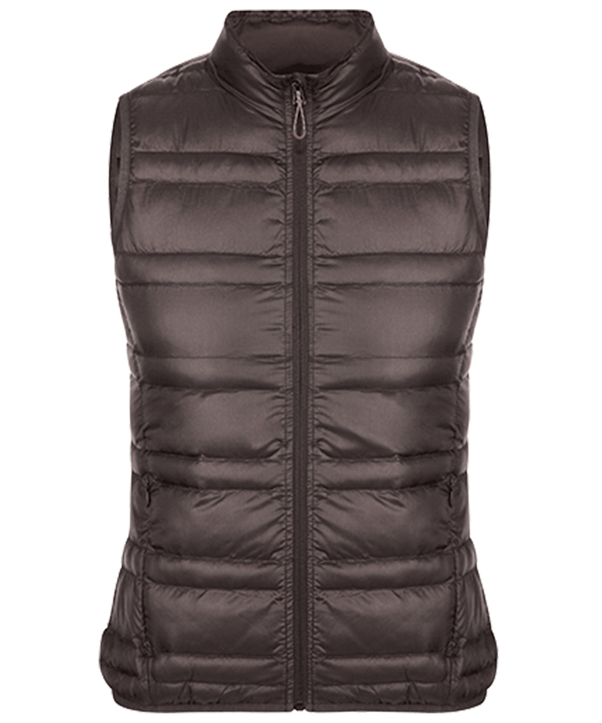 Women's Firedown Down-touch Bodywarmer