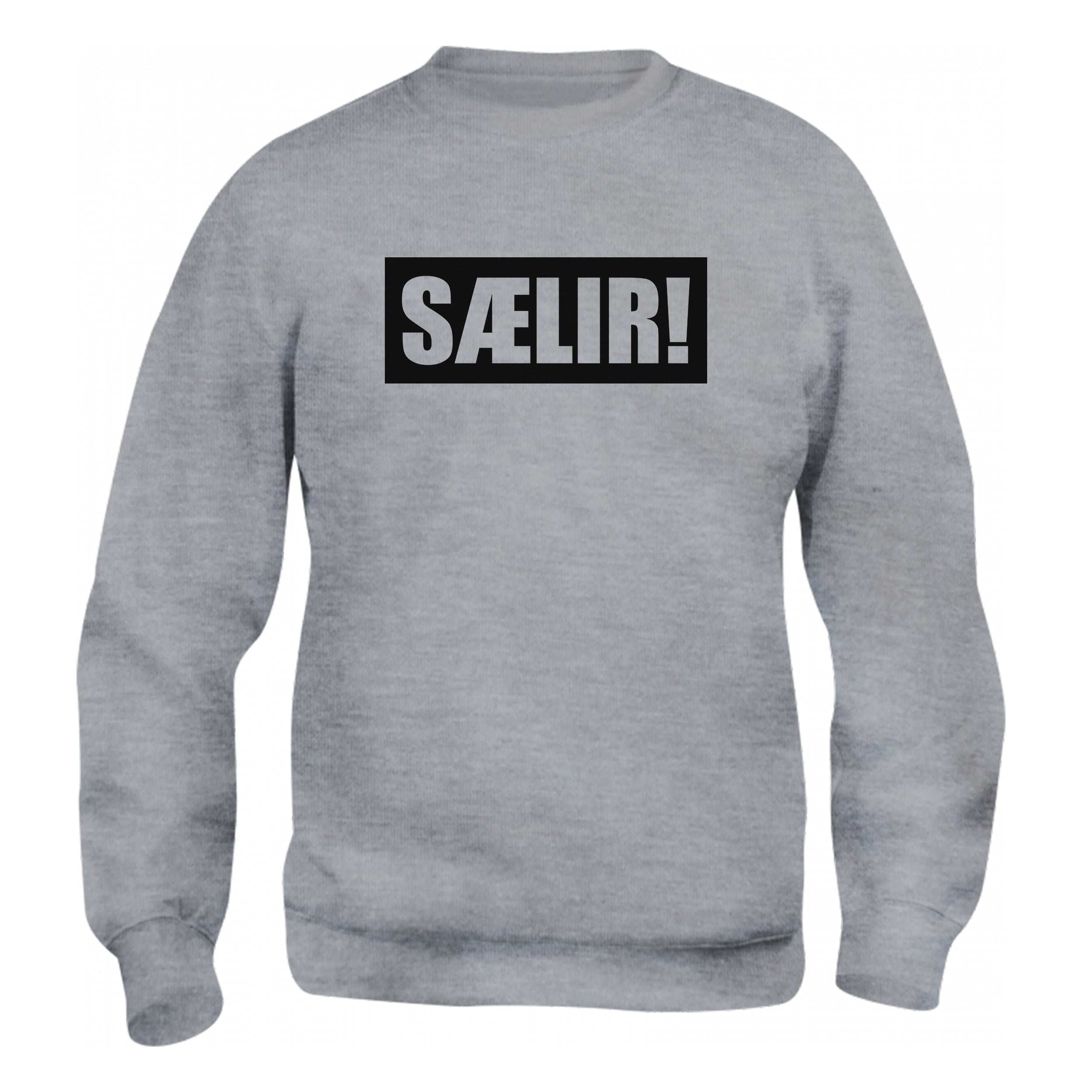 SÆLIR - Peysa - Grá