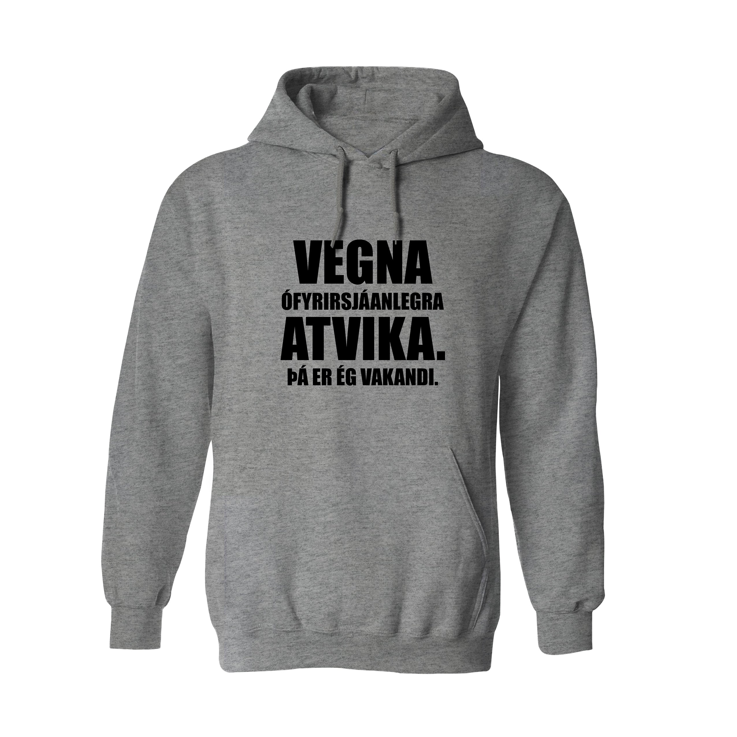 VEGNA ÓFYRIRSJÁANLEGRA ATVIKA - Hettupeysa - Grá