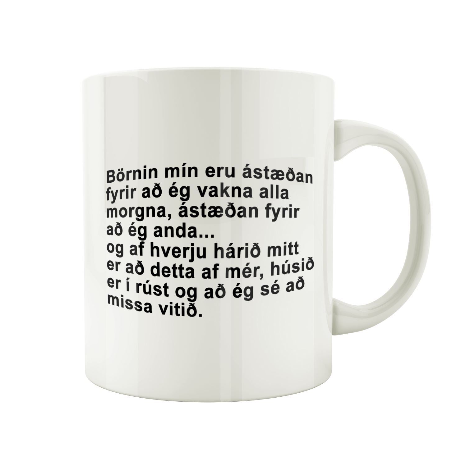 Börnin mín eru ástæðan - Bolli