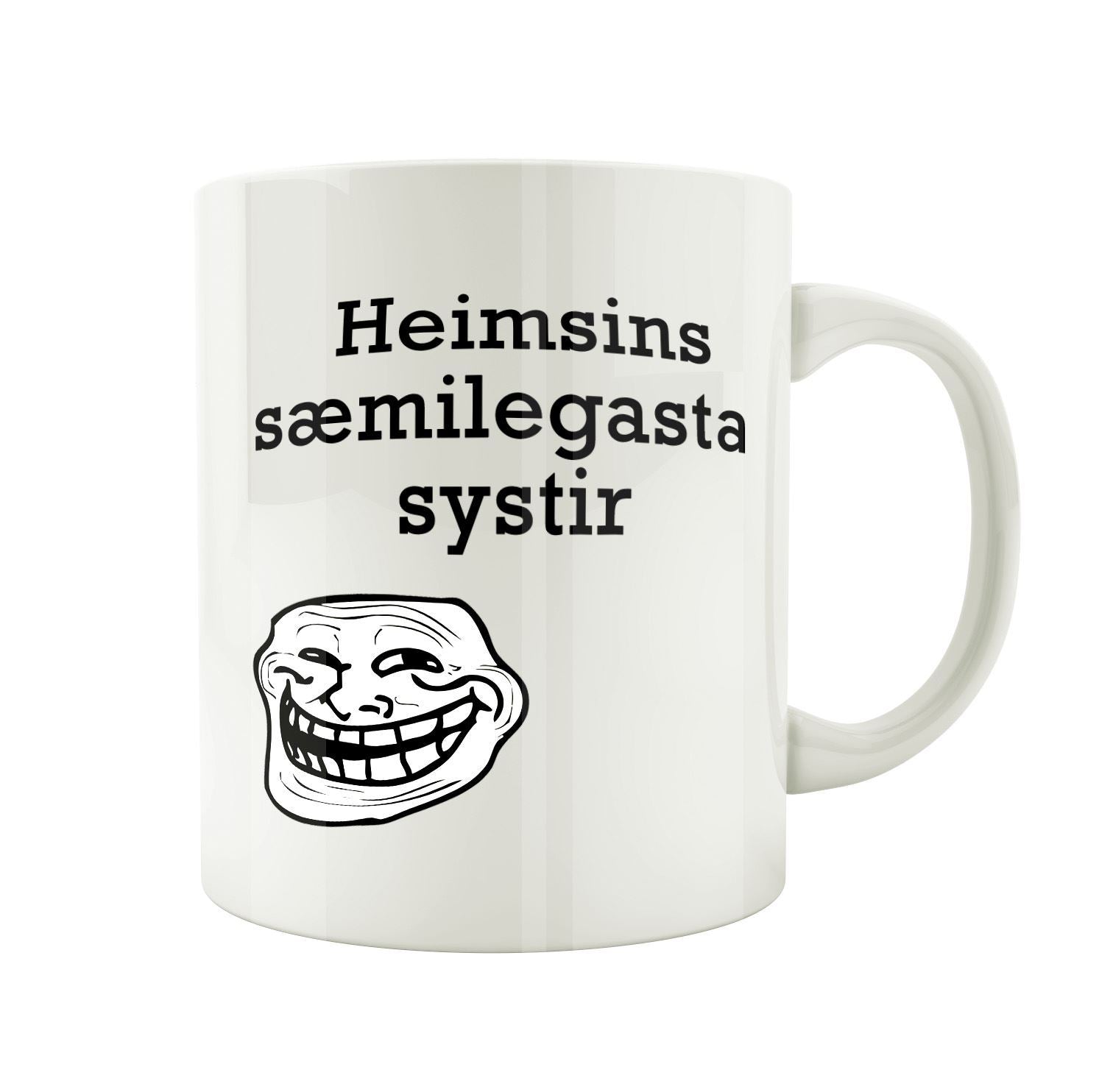 Heimsins sæmilegasta systir - Bolli