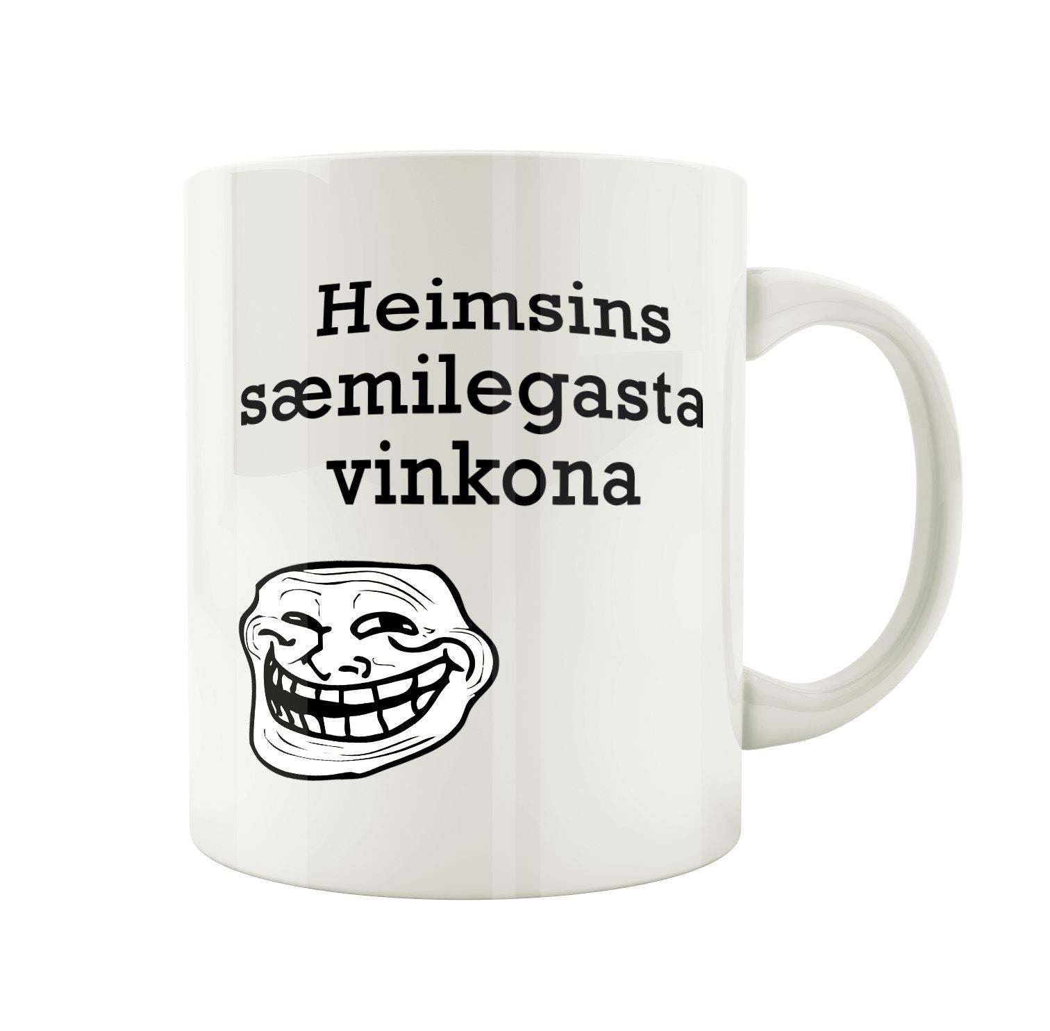 Heimsins sæmilegasta vinkona - Bolli