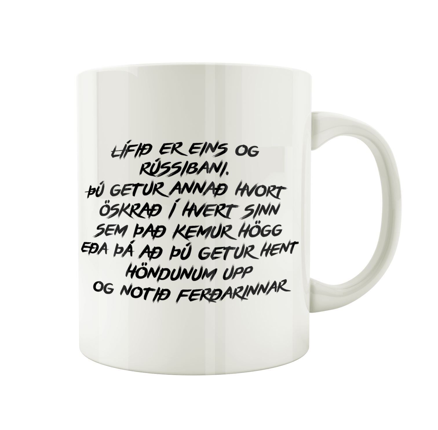 Lífið er eins og rússibani - Bolli