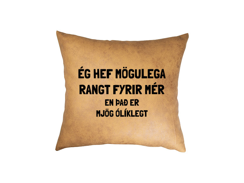 Ég hef mögulega - pleður púði