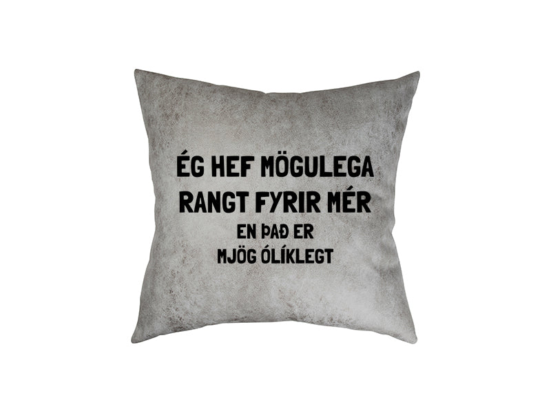 Ég hef mögulega - pleður púði
