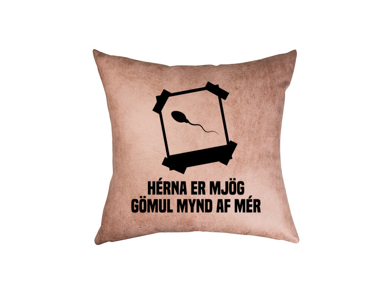 Gömul mynd af mér - pleður púði