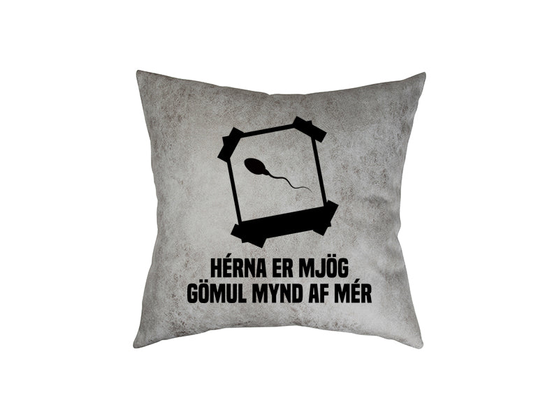 Gömul mynd af mér - pleður púði
